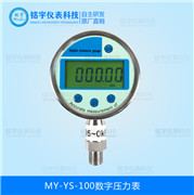 MY-YS-100数字压力表